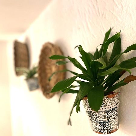 Villa Casa Mia Mola di Bari Esterno foto