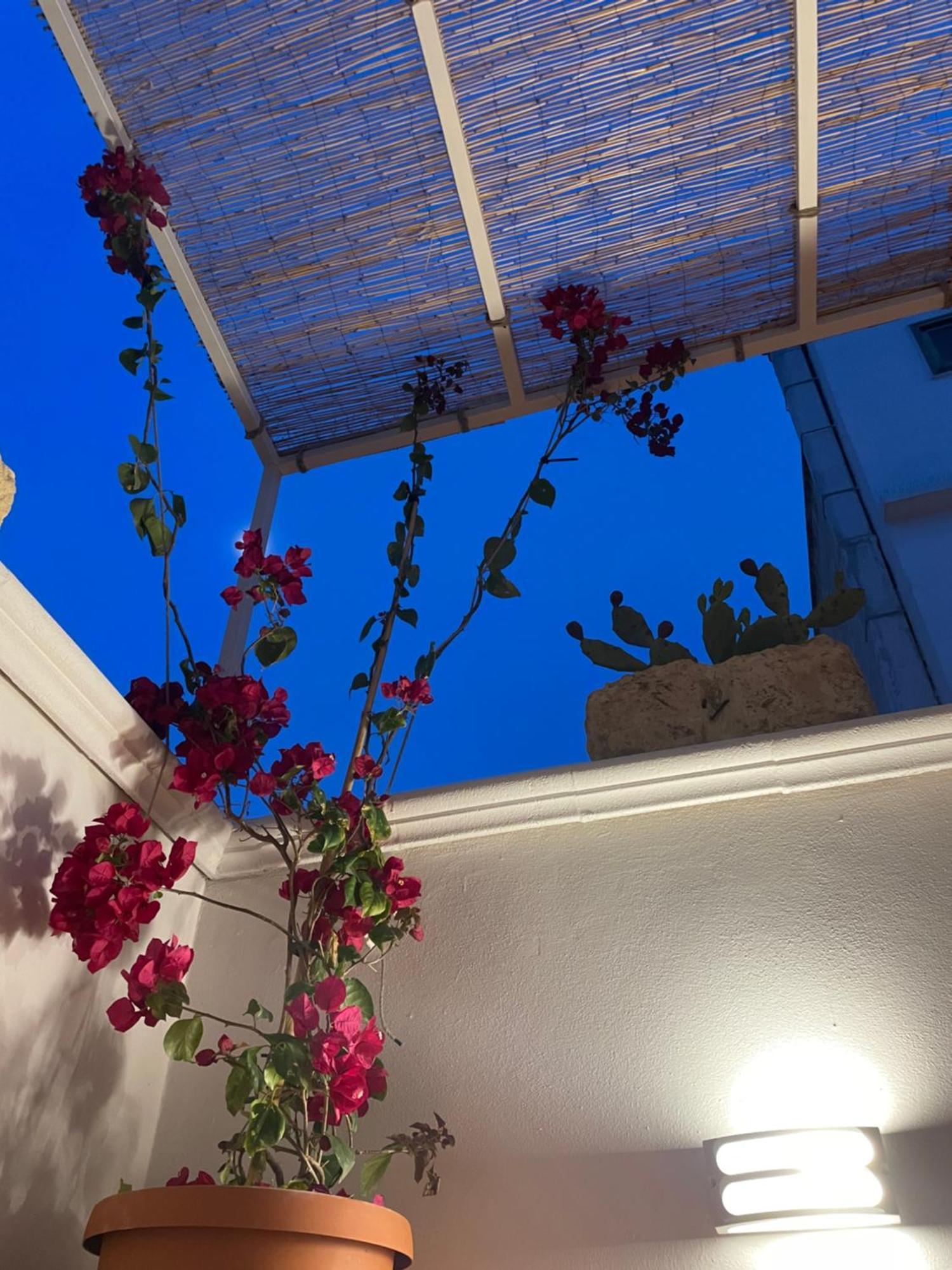 Villa Casa Mia Mola di Bari Esterno foto