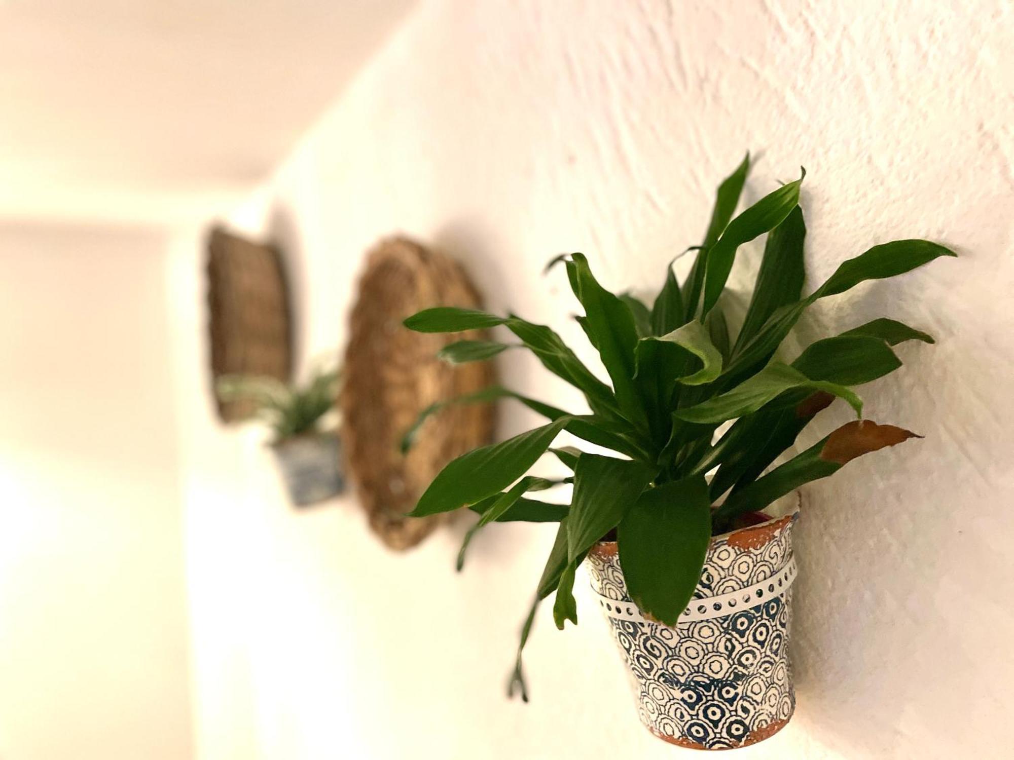 Villa Casa Mia Mola di Bari Esterno foto