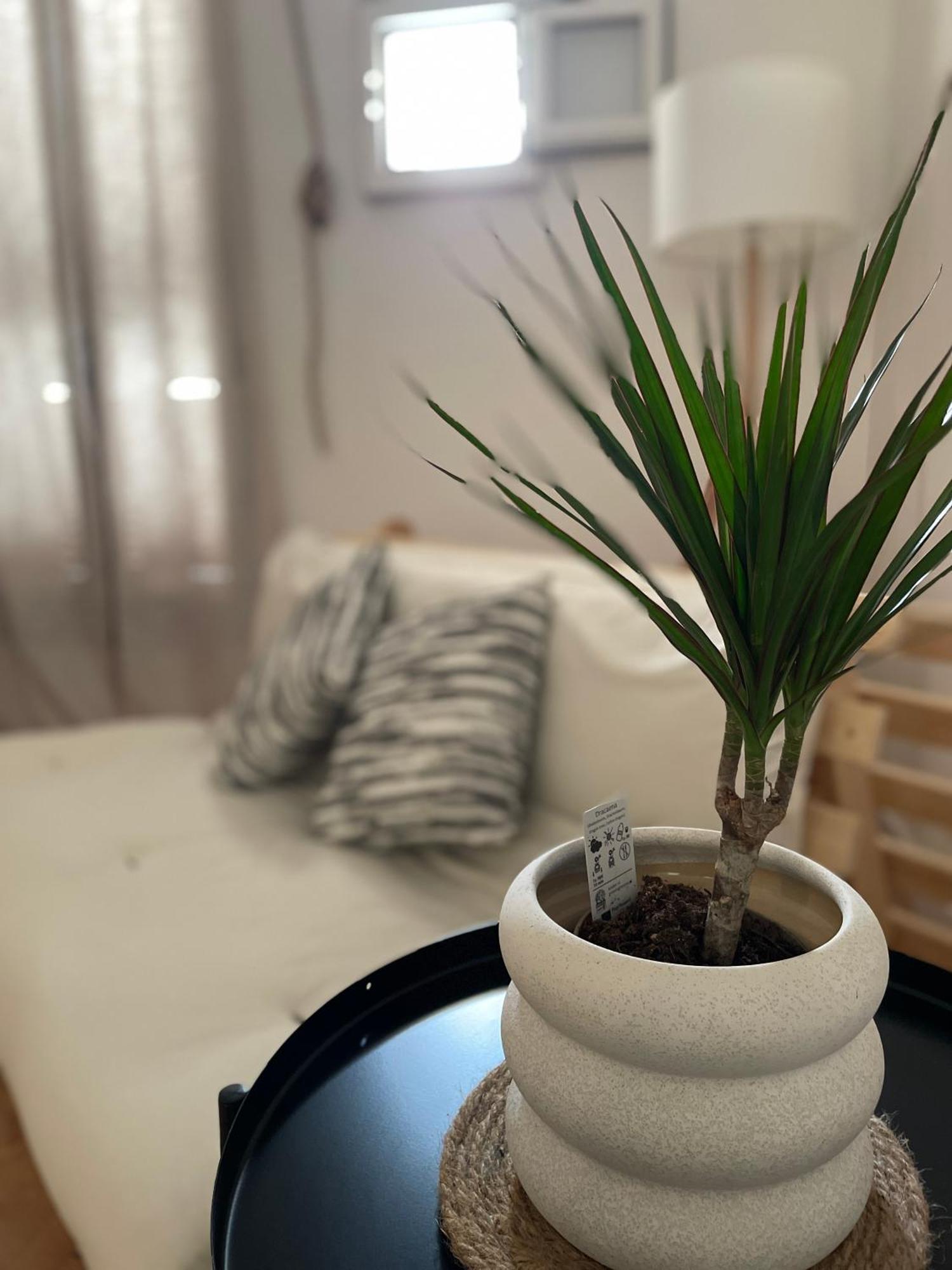 Villa Casa Mia Mola di Bari Esterno foto
